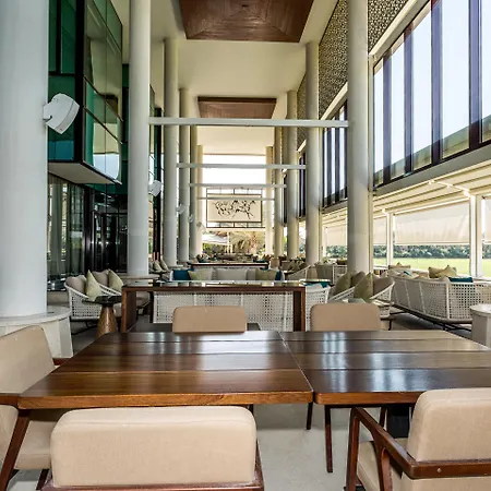 Melia Desert Palm Member Of Melia Collection-2